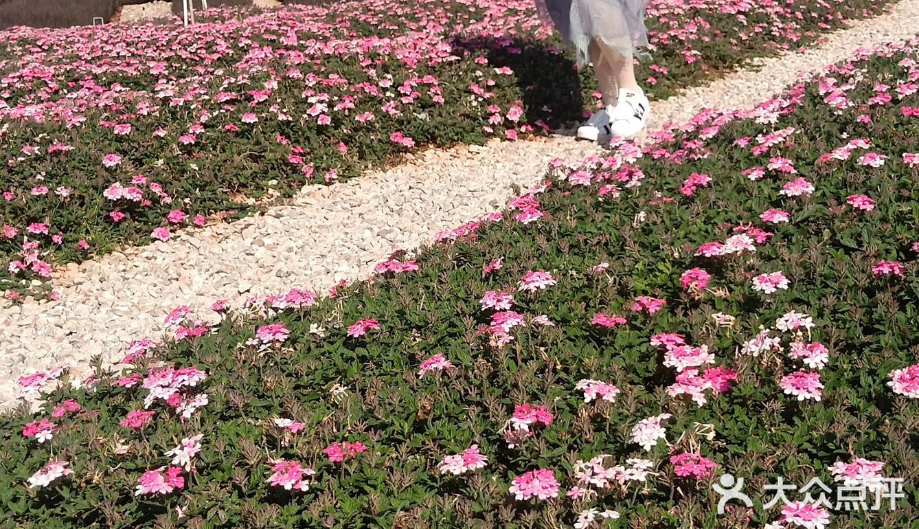 少了些商业化运作，还是很多人喜欢来这里的