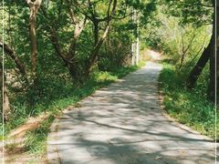 -青龙山国家森林公园