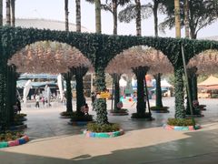 -海合安成都极地海洋公园