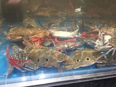 -盒马鲜生(曜一城店)