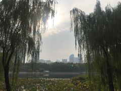 -后襄河公园