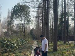 -上海怡沁园度假酒店