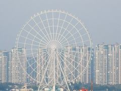 -长广溪湿地公园