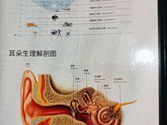 -自然之声助听器·呼吸机(贵定店)