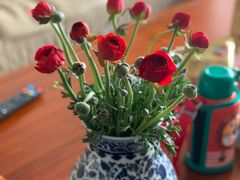 -双季花艺园艺市场(浦东店)