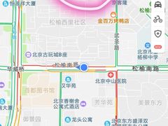 -清真永恒华威肉饼(潘家园店)