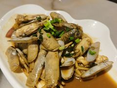 蛏子-华盛丰温州大排档(东三环南路店)