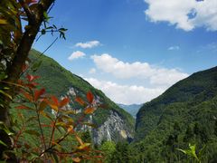 -鹿院坪生态旅游景区