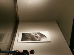 -江苏省美术馆(长江路新馆)