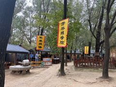-微山湖红荷湿地景区