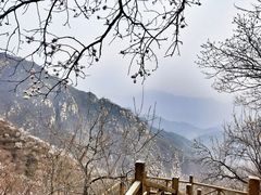 -大岭沟猕猴桃谷风景区