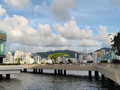 -星光大道
