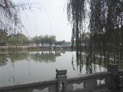 -八大山人梅湖景区
