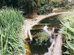 -成都市活水公园