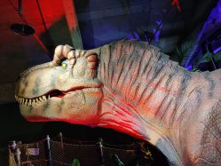 -恐龙探索乐园(磁器口店)