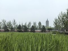 -西海子公园