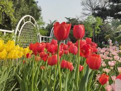 -国家植物园南园