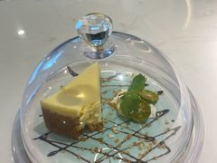 雪域芝士-飞行喵MR PILOT|猫舍·猫咖(静安大融城店)