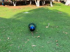 -昆明动物园