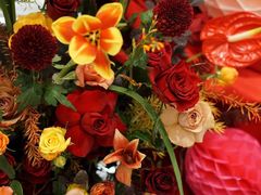 -拾花记花艺·求婚·订婚·生日布置(高新店)