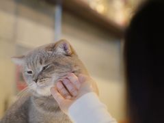 -MIMO CAFE(沙头角店)