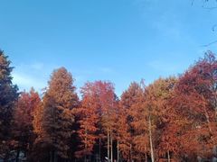 -青山湖景区