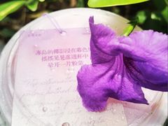 -茶理宜世(东方宝泰店)