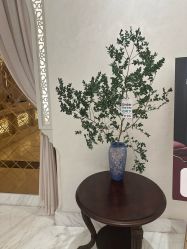 -尊尚柏丽美容SPA