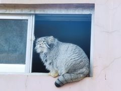 -青藏高原野生动物园