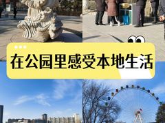 -青城公园