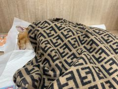 -北京观赏动物医院·24小时大型综合·猫专科·异宠专科