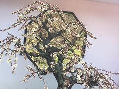 -香雪海