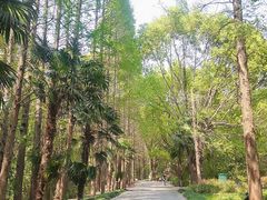 -同里国家湿地公园