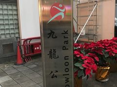 -九龙公园