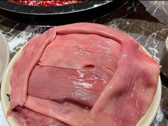 -渝大狮毛肚老火锅(遂宁万达店)