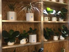 -Blueglass酸奶(财富购物中心店)