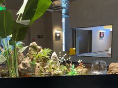 -映像威海·威海宴(威高广场店)