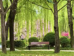 -唐城墙遗址公园