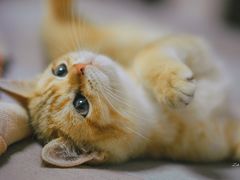 -美联众合24小时·皮肤科·外科·全科诊疗中心(华苑分院)