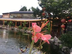 -大门水乡·顺德菜