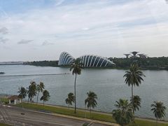 -新加坡摩天观景轮