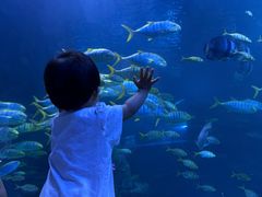 -太平洋海底世界