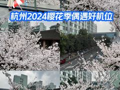 -杭州市第一人民医院(湖滨院区)