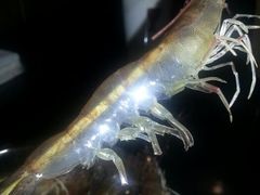 android_upload_pic-吉友粥底火锅(方斜路店)