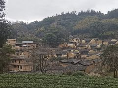 -杨家堂村