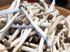 茶树菇-龍歌自助小火锅(市南金茂湾店)