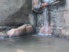 -天赐温泉