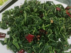 -秦扬居特色菜馆(上王村)