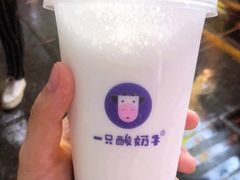 -一只酸奶牛(八一路店)