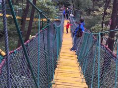 -原山国家森林公园